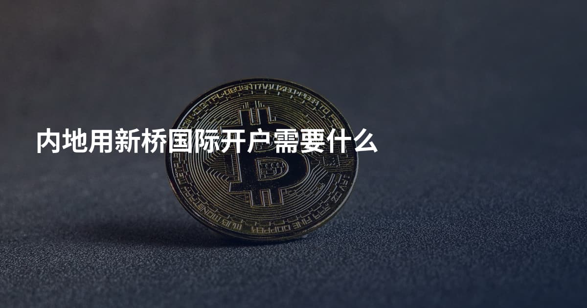 内地用新桥国际开户需要什么