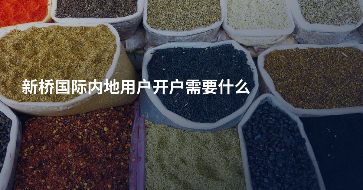 新桥国际内地用户开户需要什么