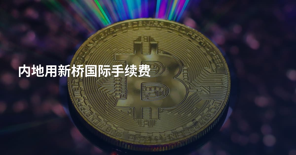 内地用新桥国际手续费