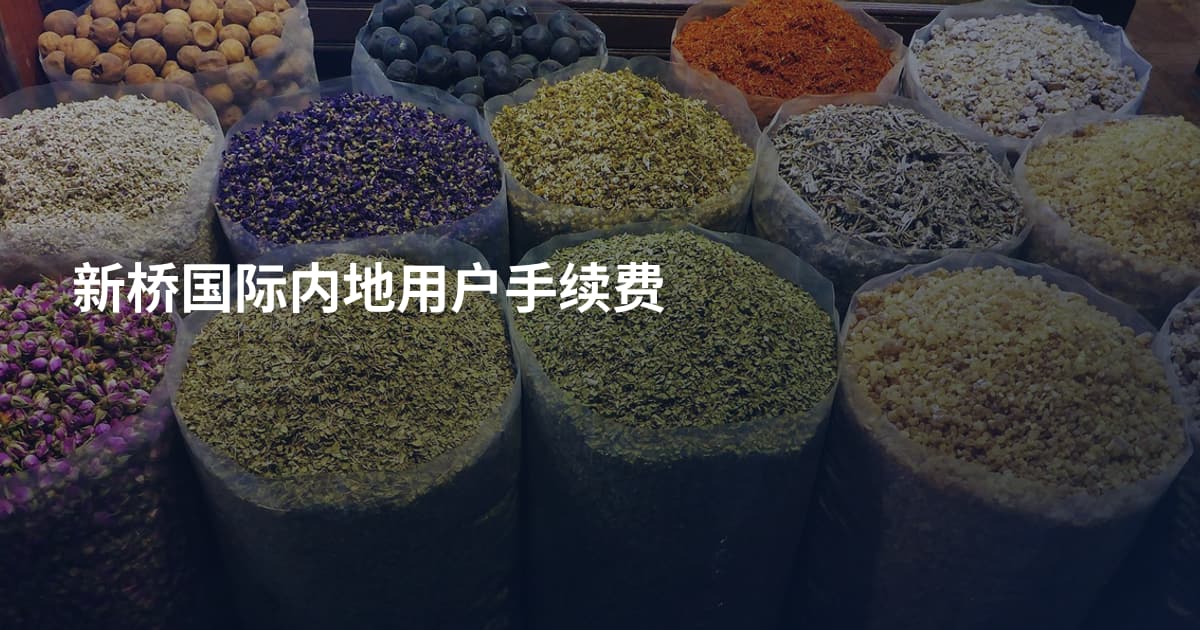 新桥国际内地用户手续费