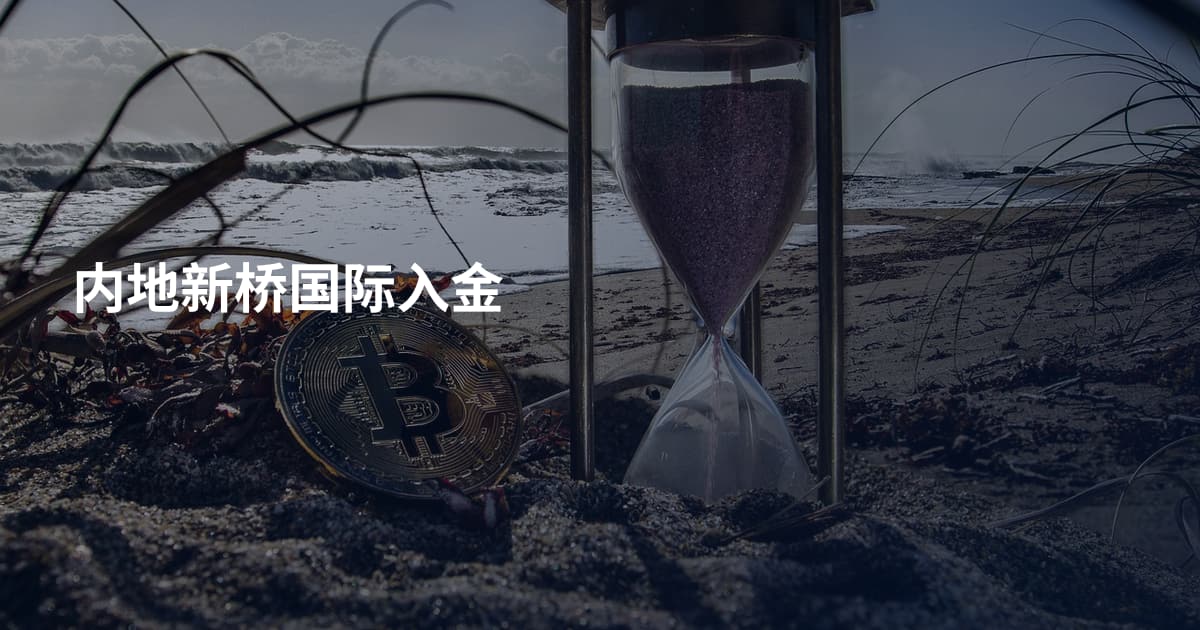 内地新桥国际入金