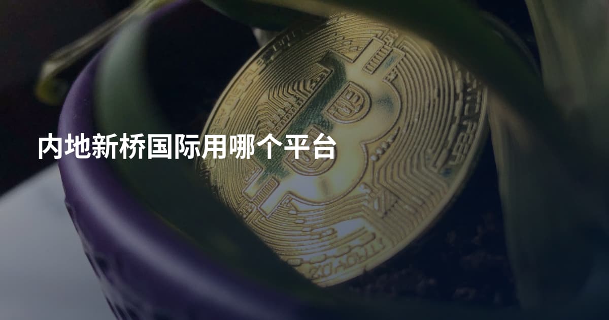 内地新桥国际用哪个平台