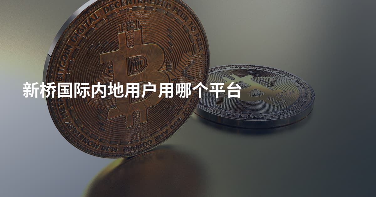 新桥国际内地用户用哪个平台