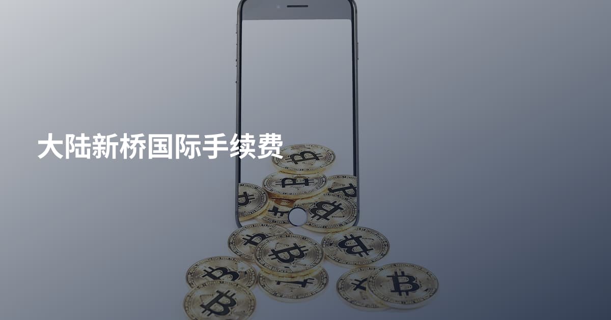 大陆新桥国际手续费