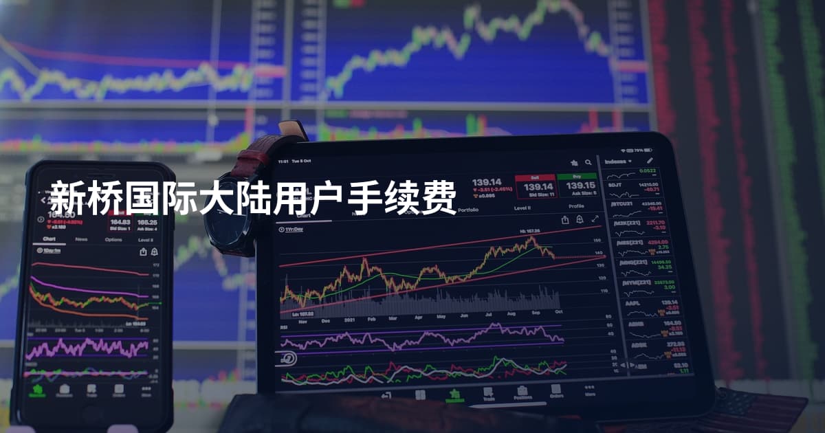 新桥国际大陆用户手续费