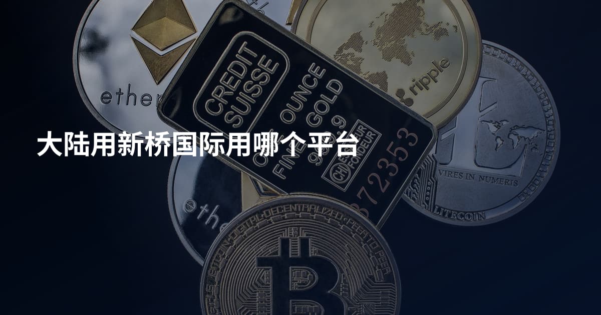 大陆用新桥国际用哪个平台