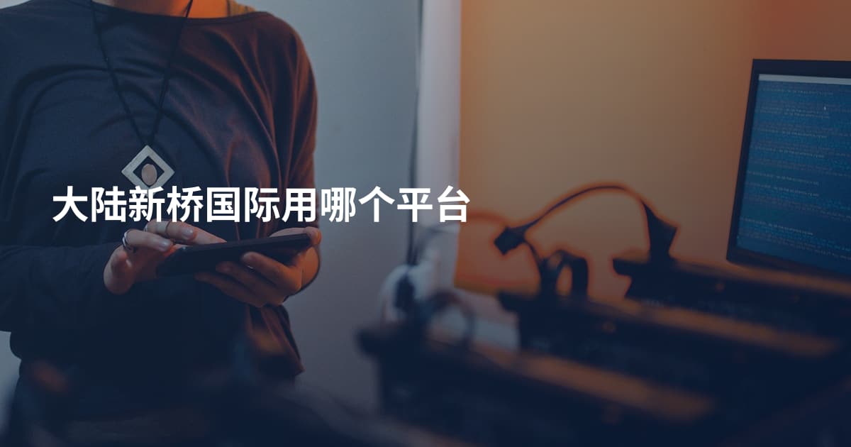 大陆新桥国际用哪个平台