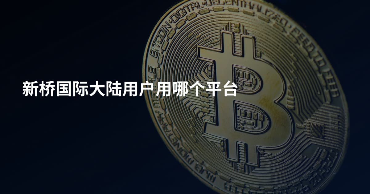 新桥国际大陆用户用哪个平台