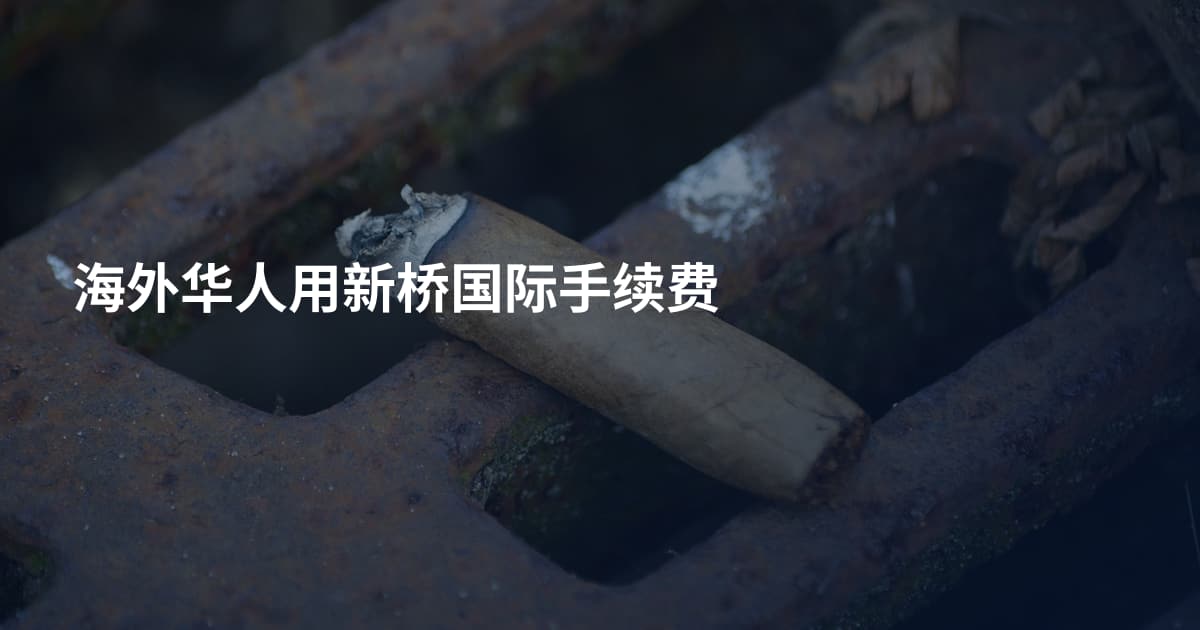 海外华人用新桥国际手续费
