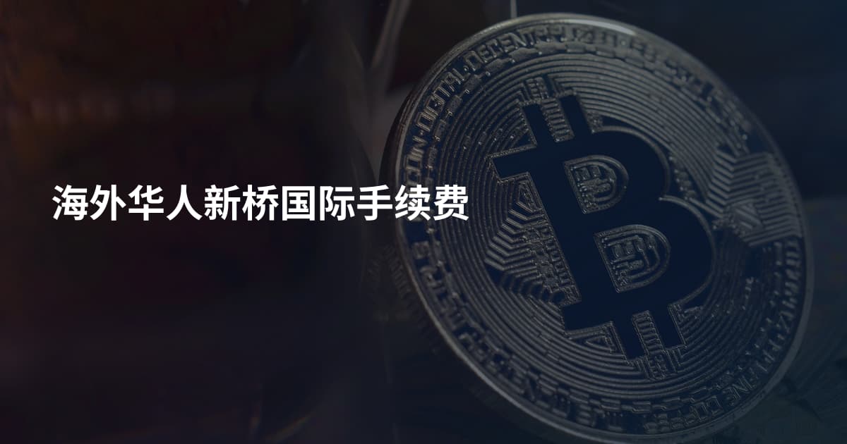 海外华人新桥国际手续费