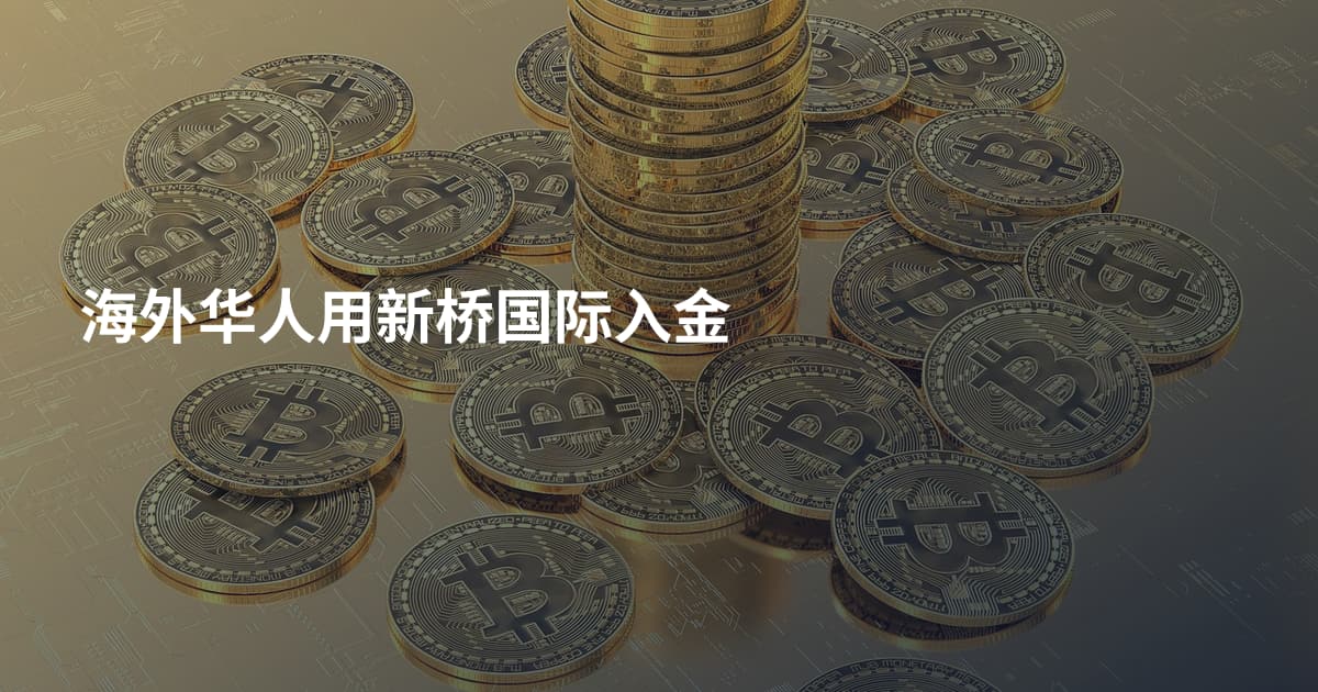 海外华人用新桥国际入金