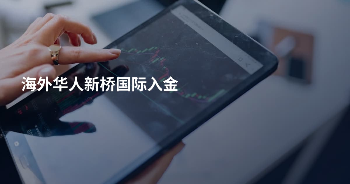 海外华人新桥国际入金