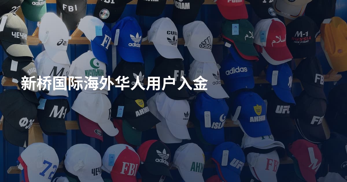 新桥国际海外华人用户入金
