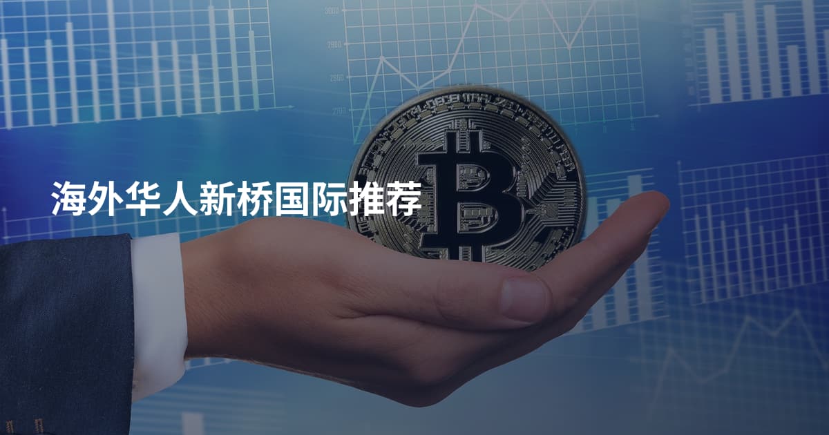 海外华人新桥国际推荐