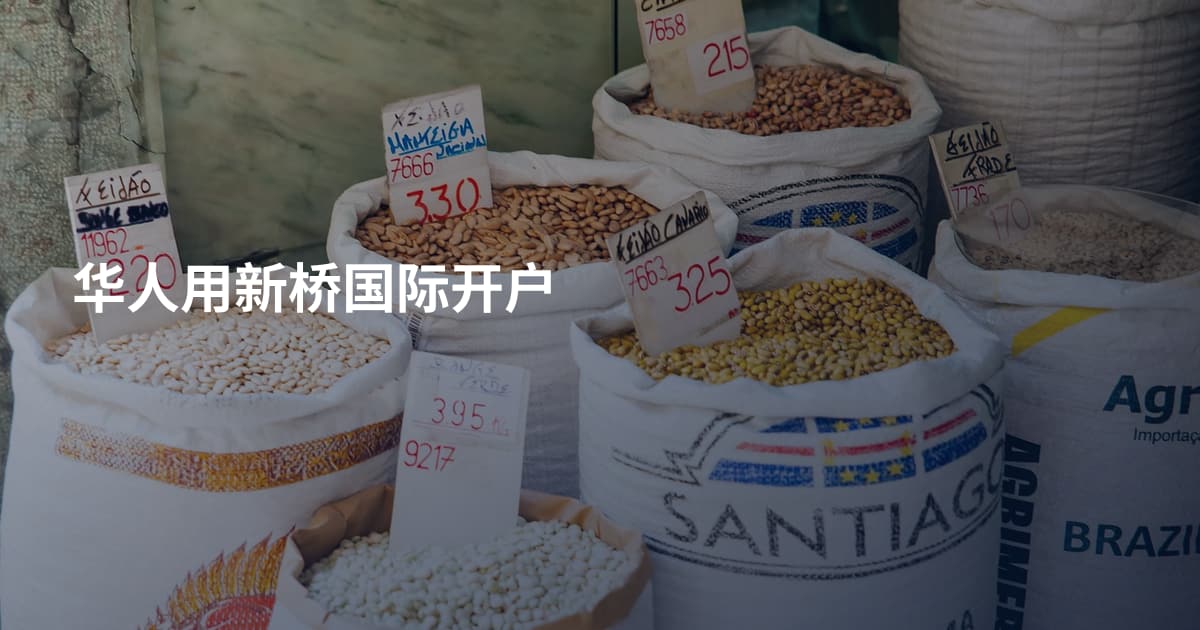 华人用新桥国际开户