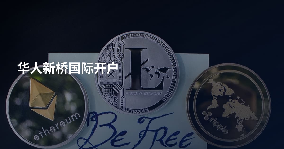 华人新桥国际开户