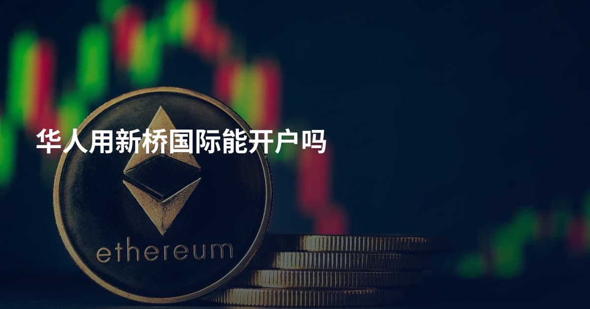 华人用新桥国际能开户吗