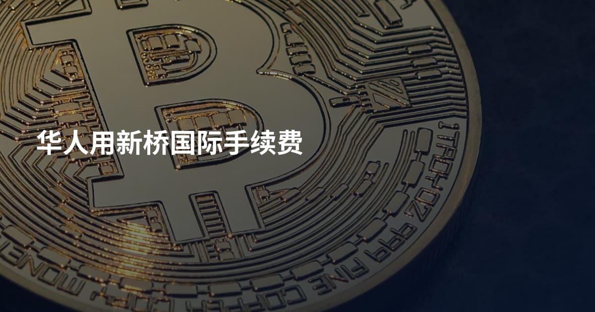华人用新桥国际手续费