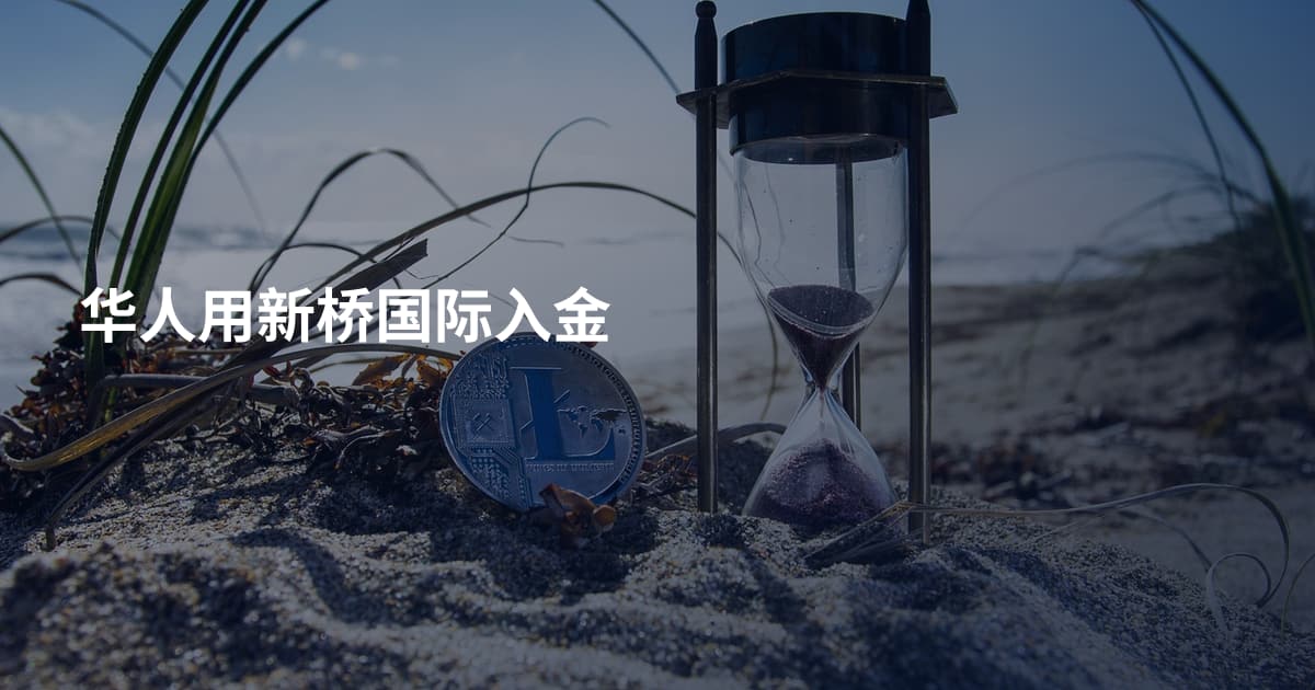 华人用新桥国际入金
