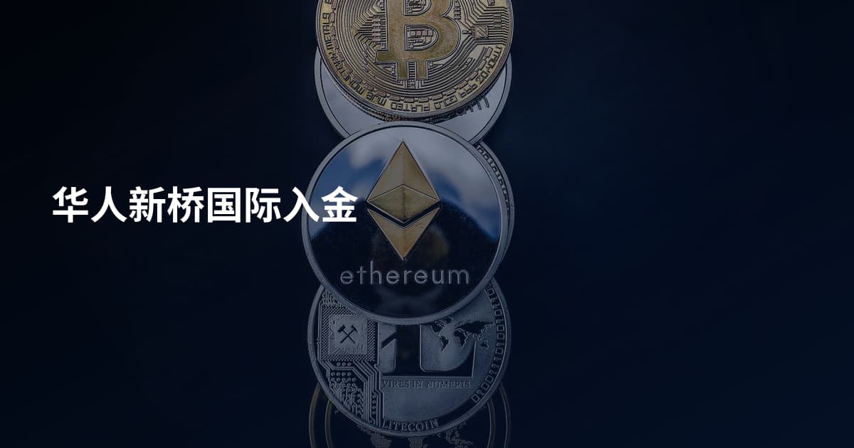 华人新桥国际入金
