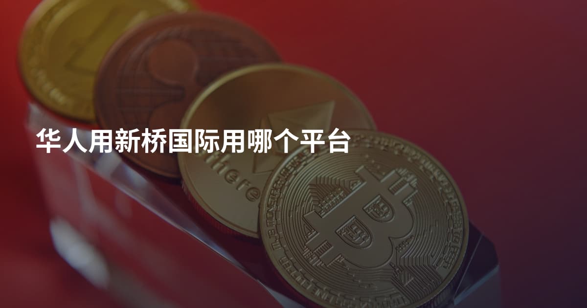 华人用新桥国际用哪个平台