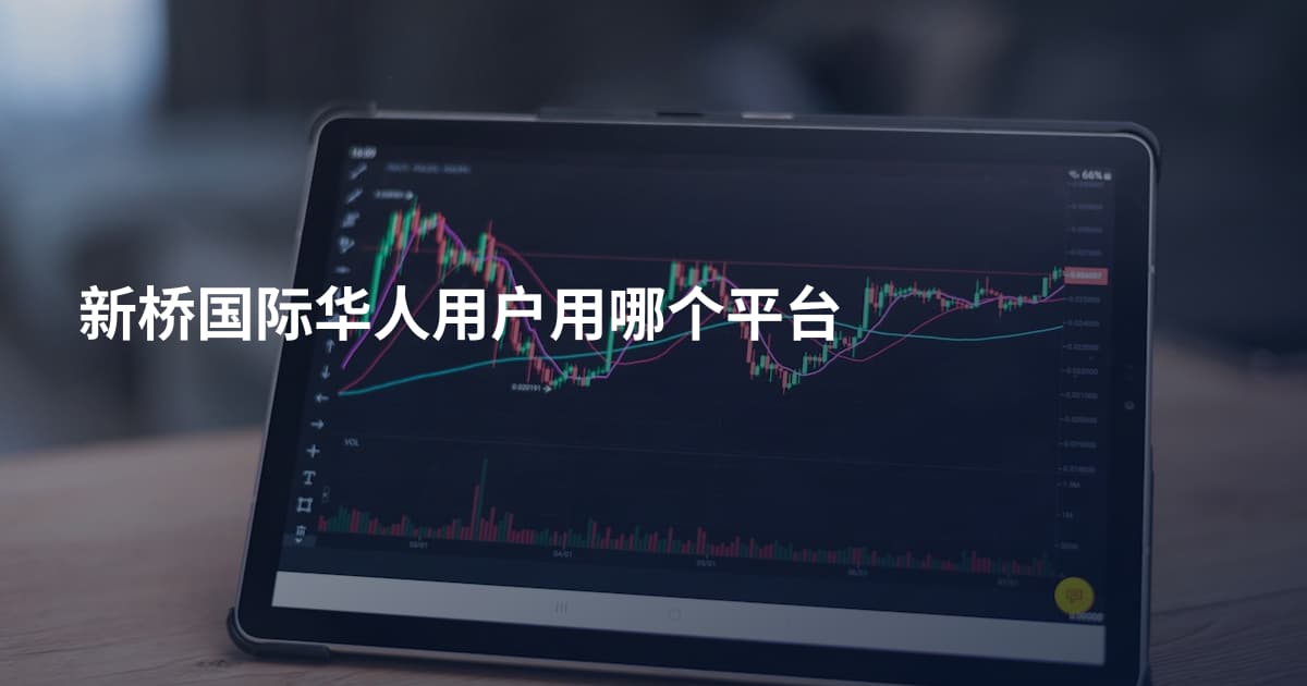 新桥国际华人用户用哪个平台