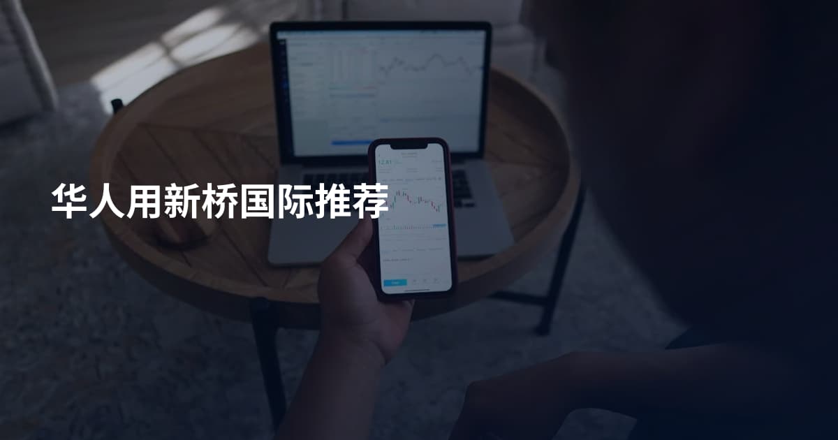 华人用新桥国际推荐