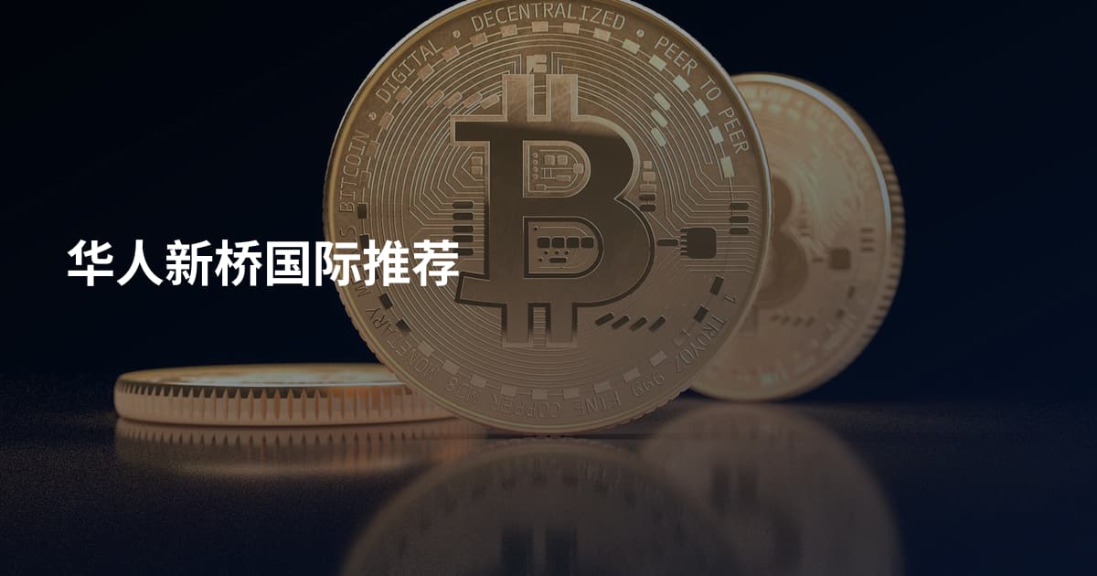 华人新桥国际推荐