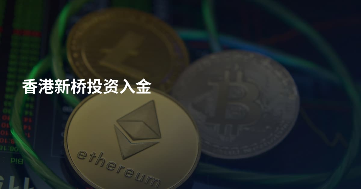 香港新桥投资入金