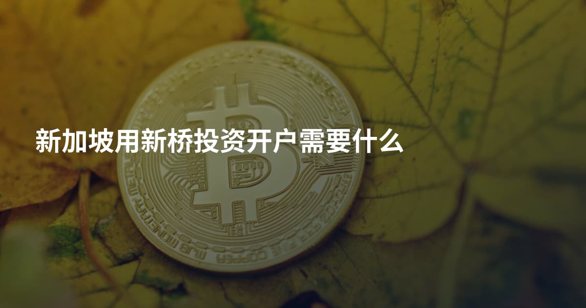 新加坡用新桥投资开户需要什么