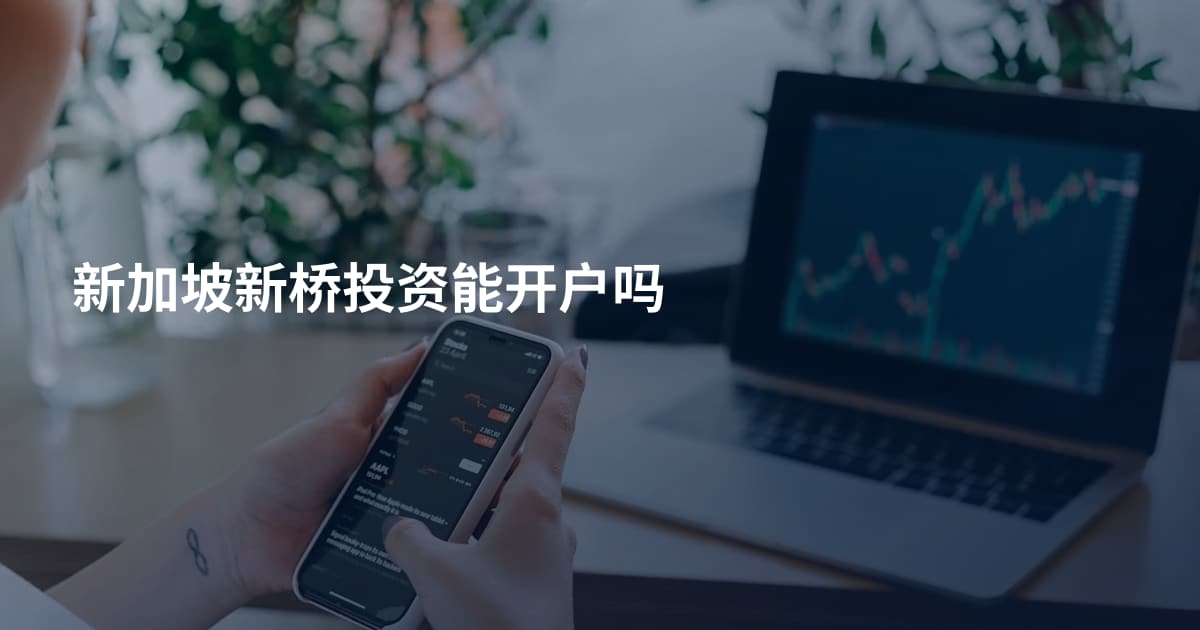新加坡新桥投资能开户吗