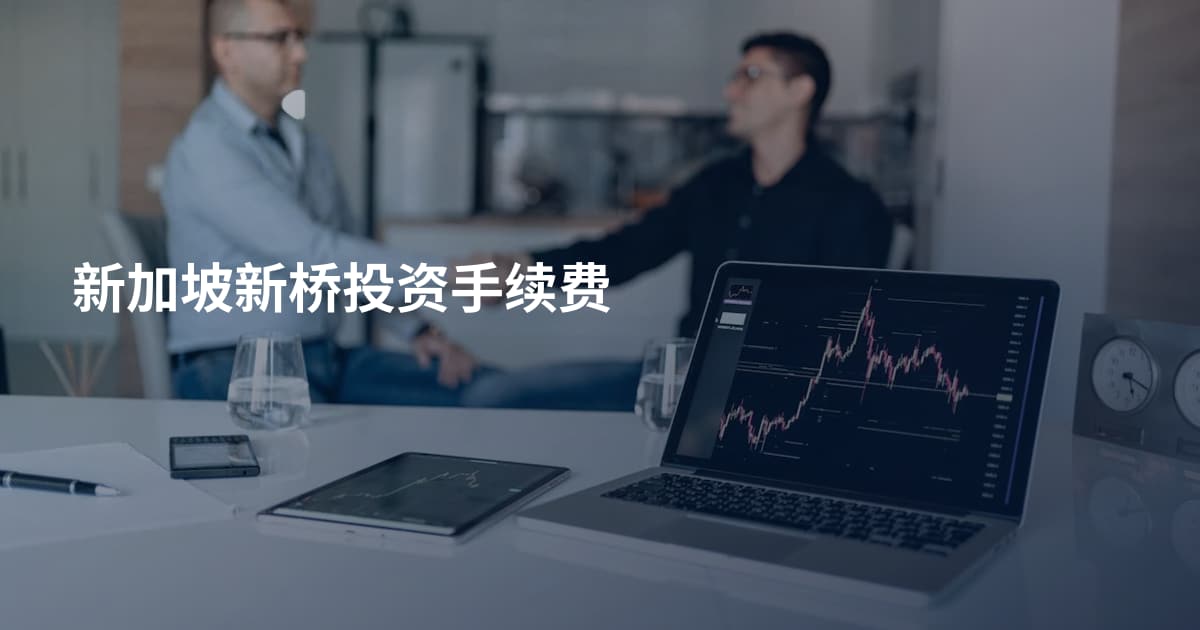 新加坡新桥投资手续费