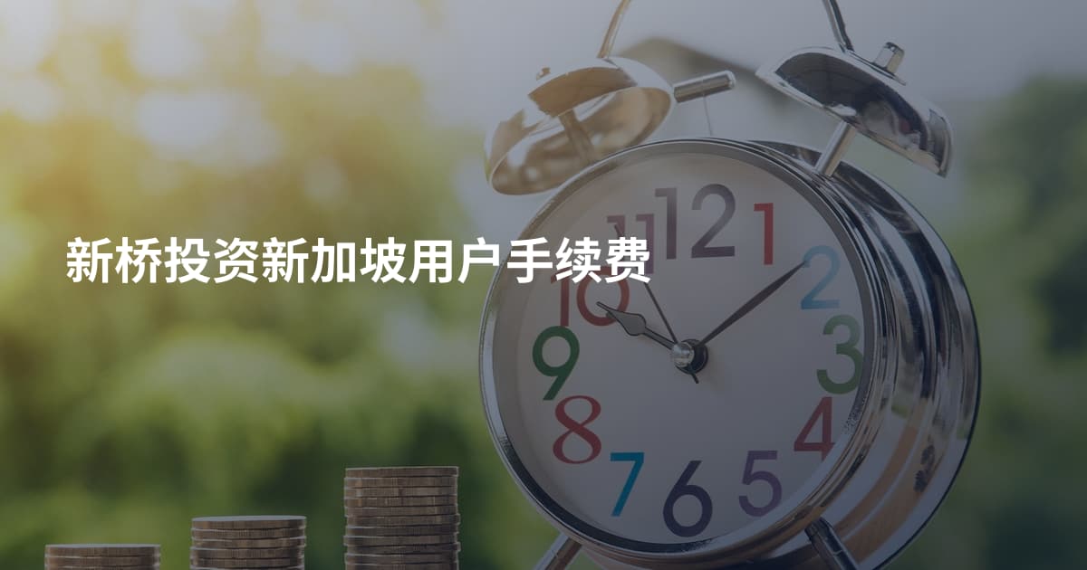 新桥投资新加坡用户手续费