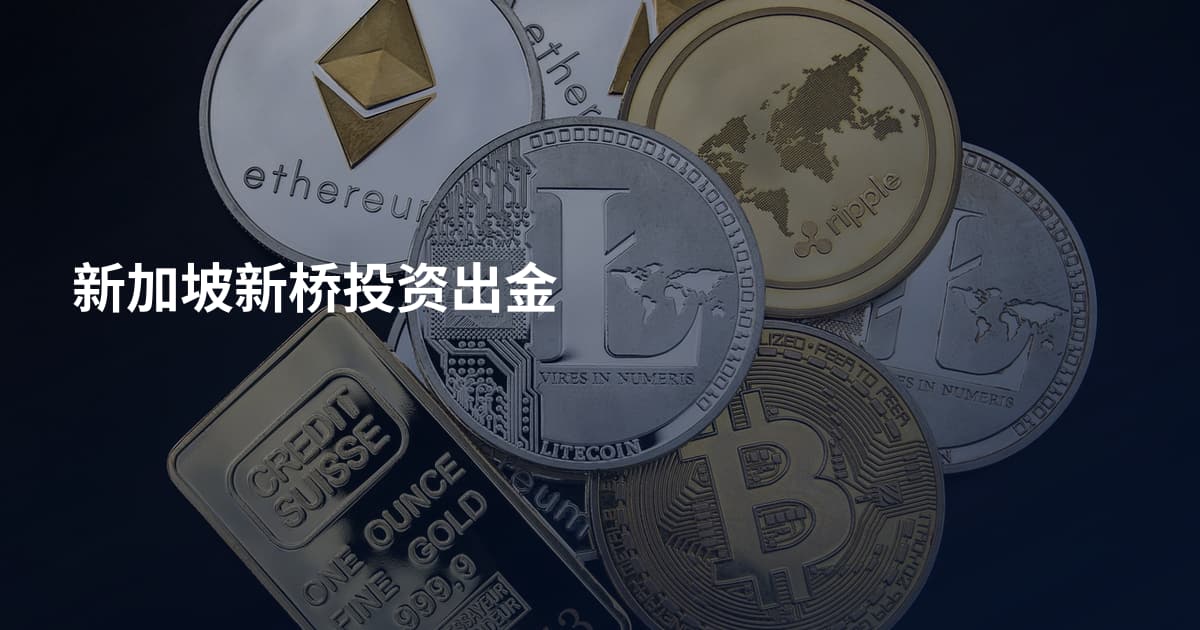 新加坡新桥投资出金