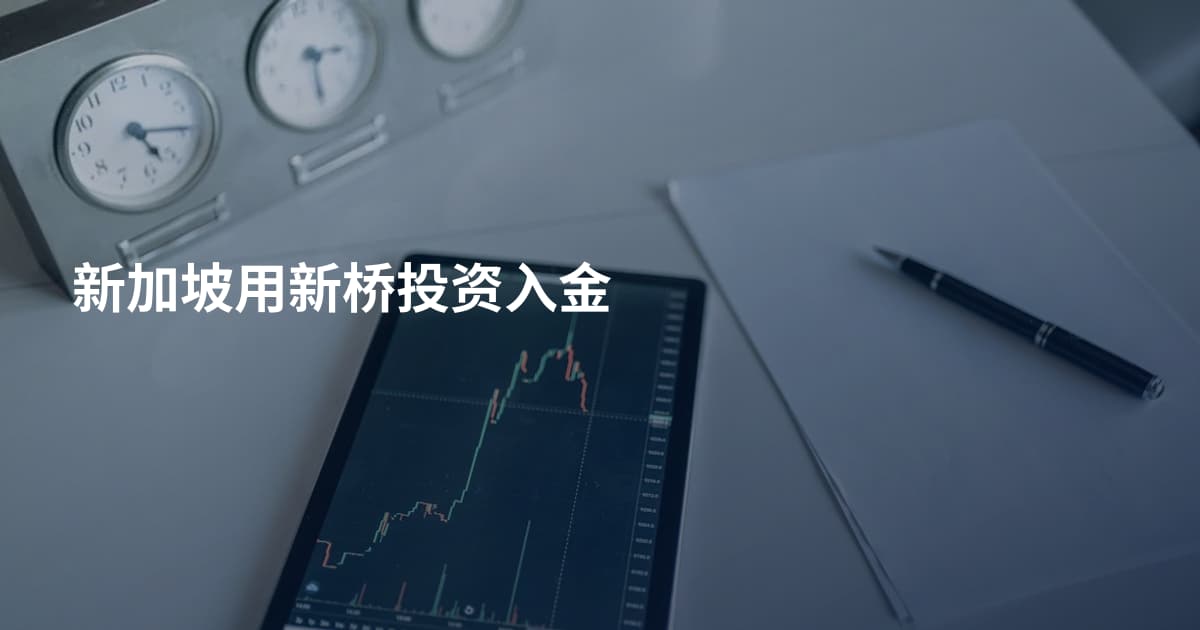 新加坡用新桥投资入金