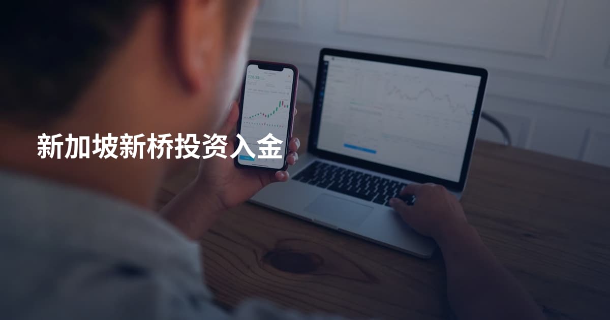 新加坡新桥投资入金