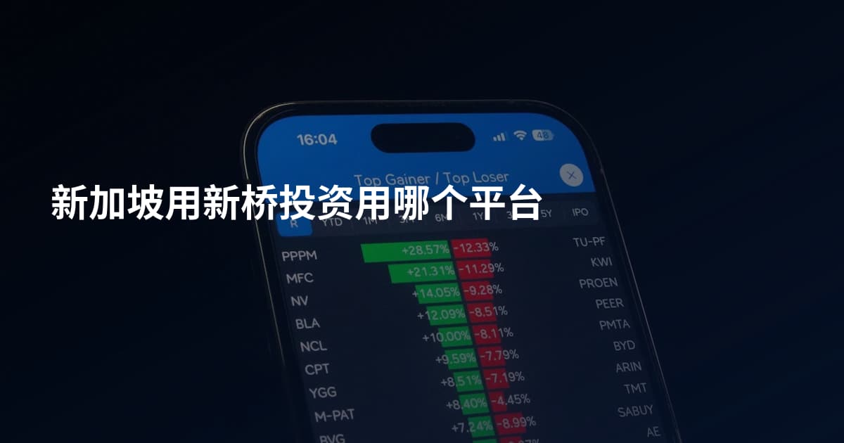 新加坡用新桥投资用哪个平台