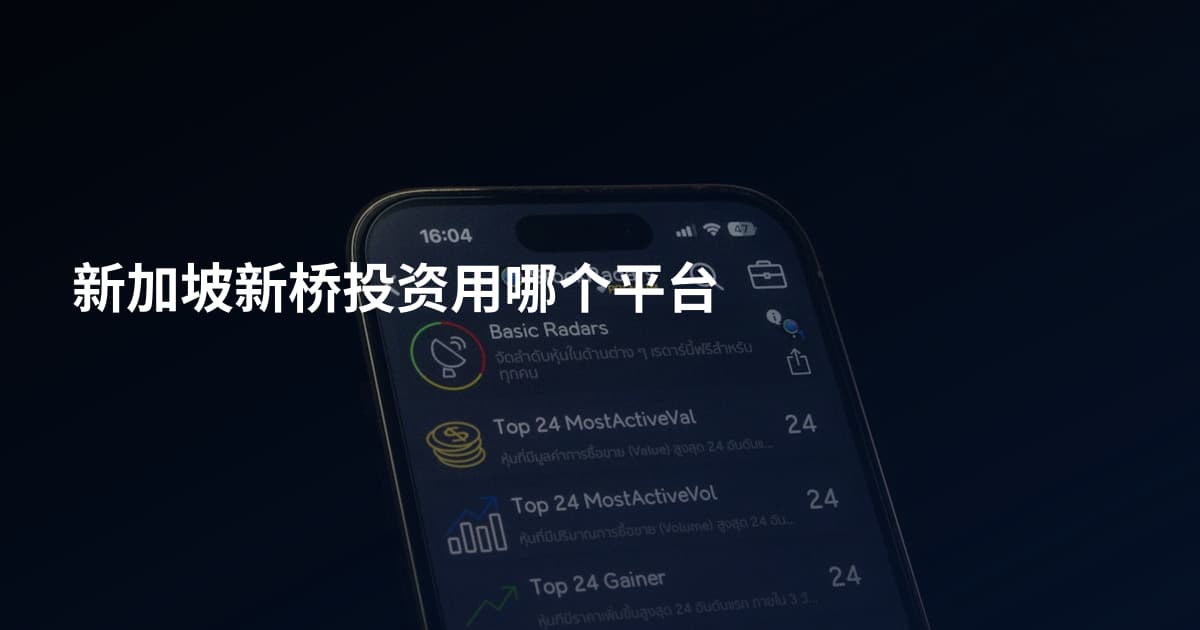 新加坡新桥投资用哪个平台