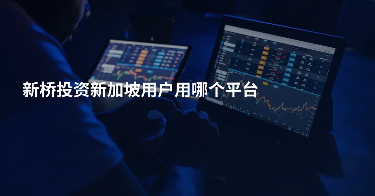 新桥投资新加坡用户用哪个平台