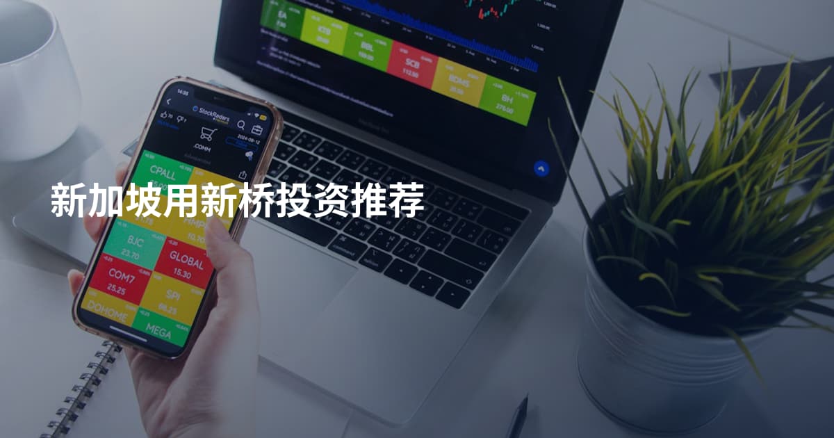 新加坡用新桥投资推荐