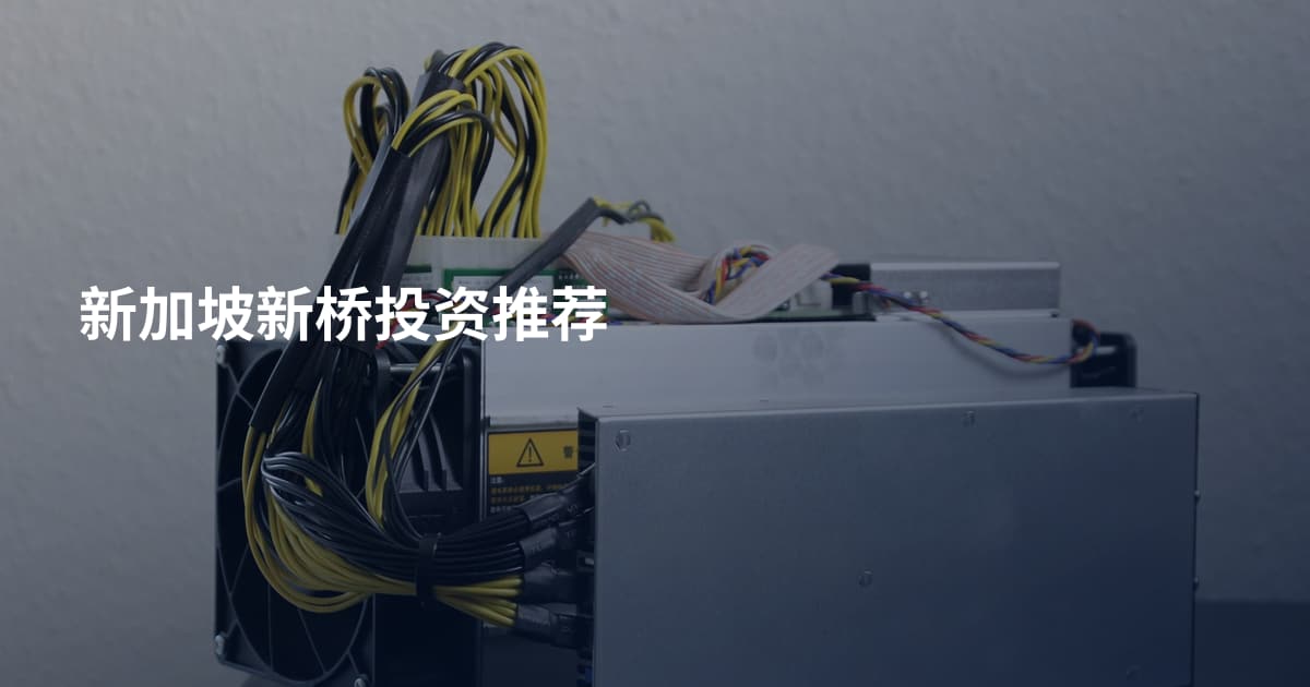 新加坡新桥投资推荐