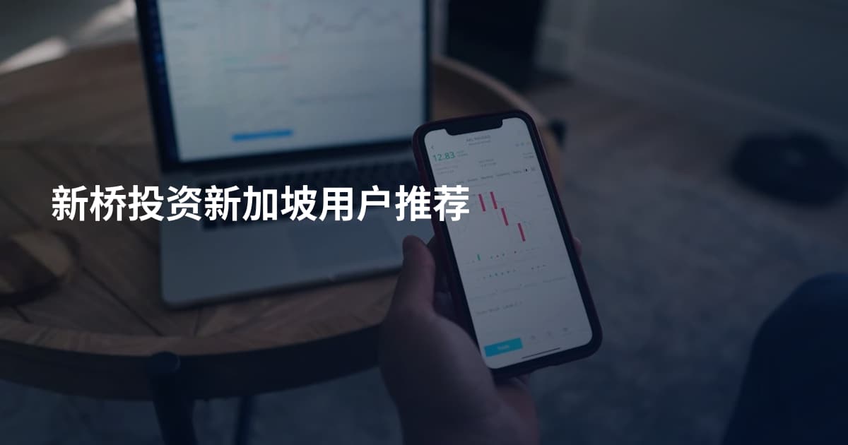 新桥投资新加坡用户推荐