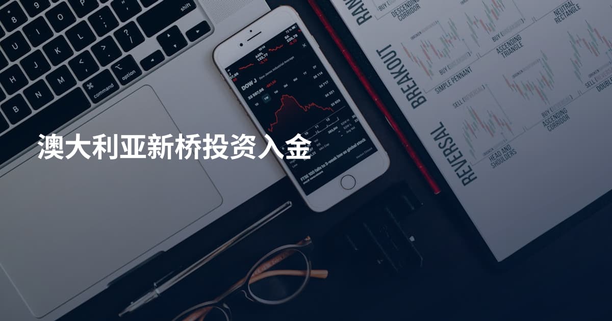 澳大利亚新桥投资入金