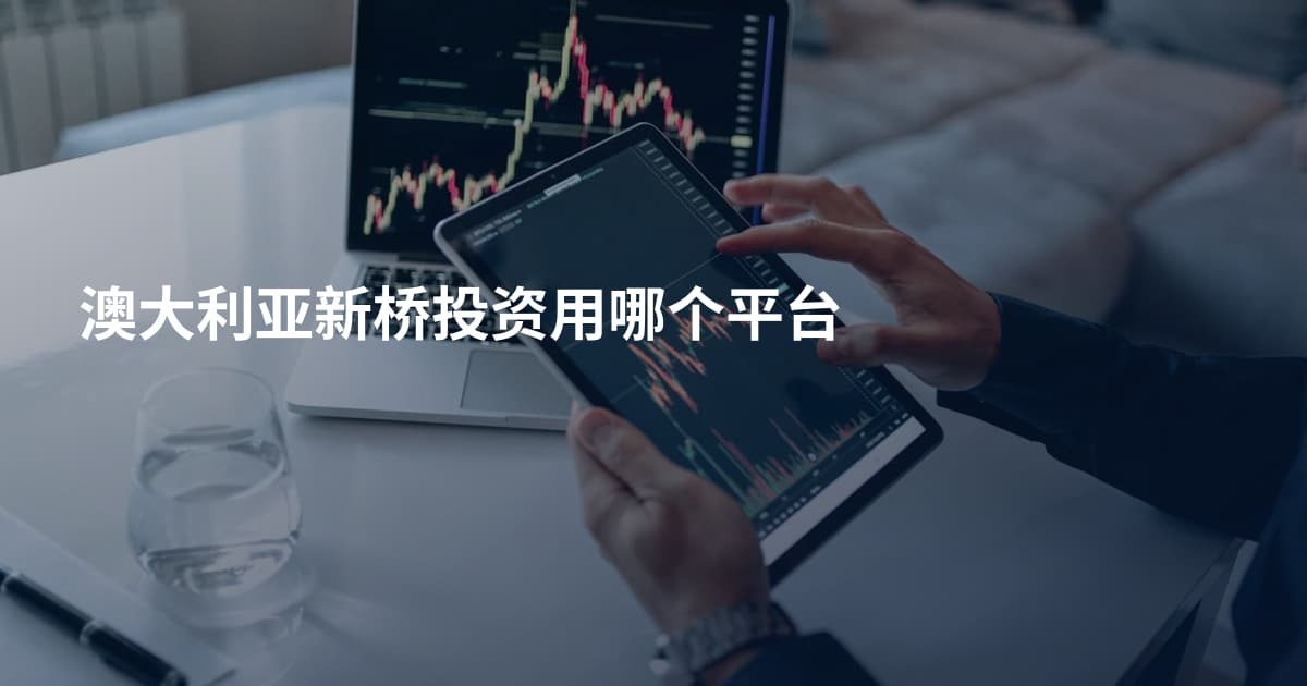 澳大利亚新桥投资用哪个平台
