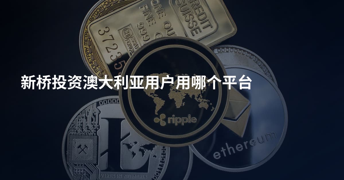新桥投资澳大利亚用户用哪个平台