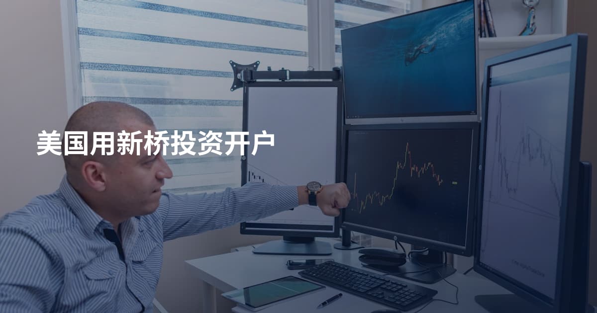 美国用新桥投资开户