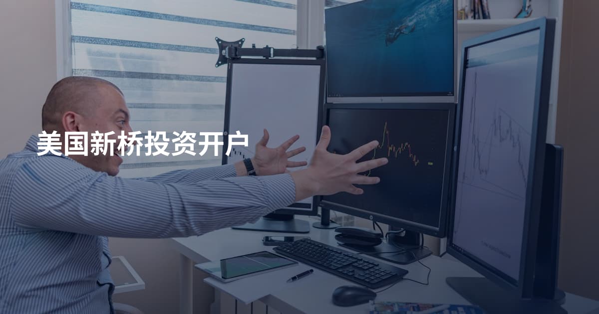 美国新桥投资开户