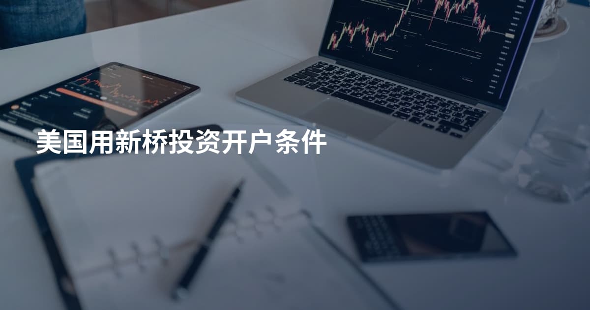 美国用新桥投资开户条件