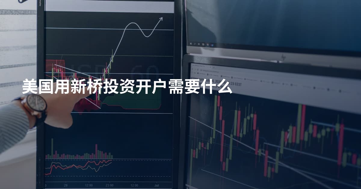 美国用新桥投资开户需要什么