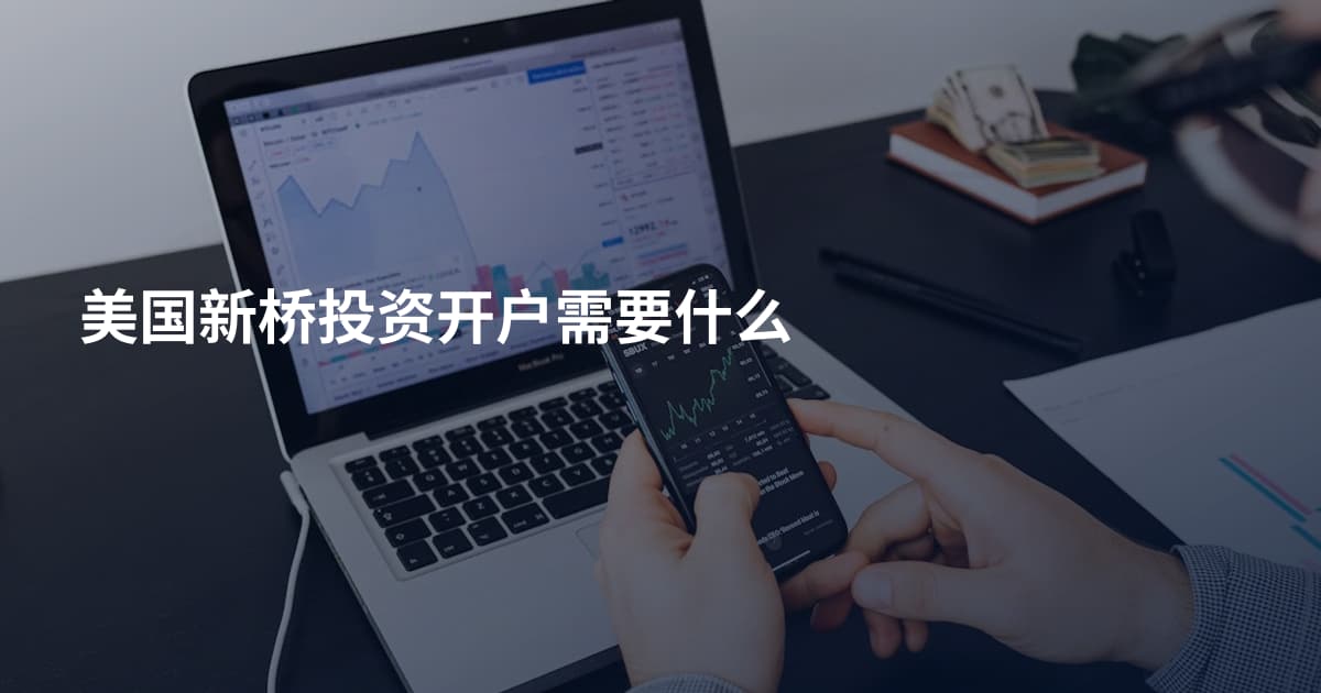 美国新桥投资开户需要什么